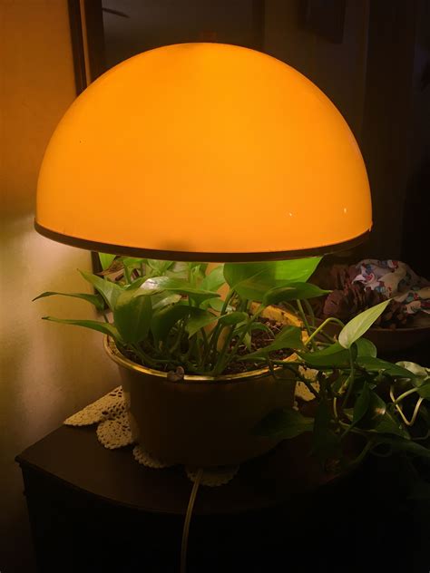 The Magic Planter Lamp: A Sustainable Lighting Option